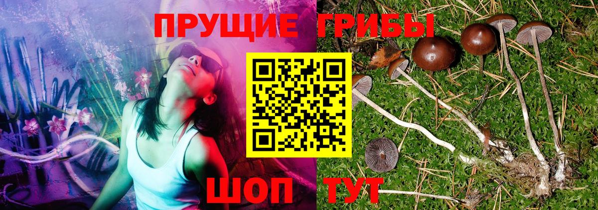Дедовск  Галлюциногенные грибы мухоморы  Вход с VPN 