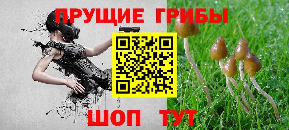 Галлюциногенные грибы прущие грибы Дедовск